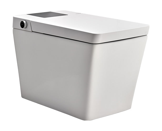 Cera Luxury Smart Toilet – Gkbonline